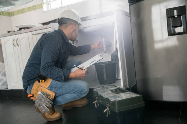 Best Same-Day Plumbing Service  in Germantown Hls, IL