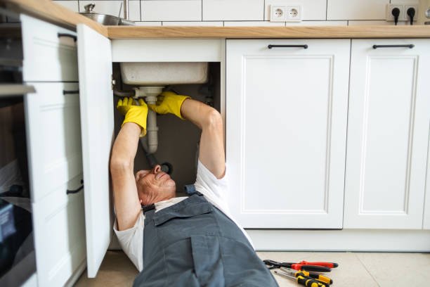 Best Toilet Repair Services  in Germantown Hls, IL