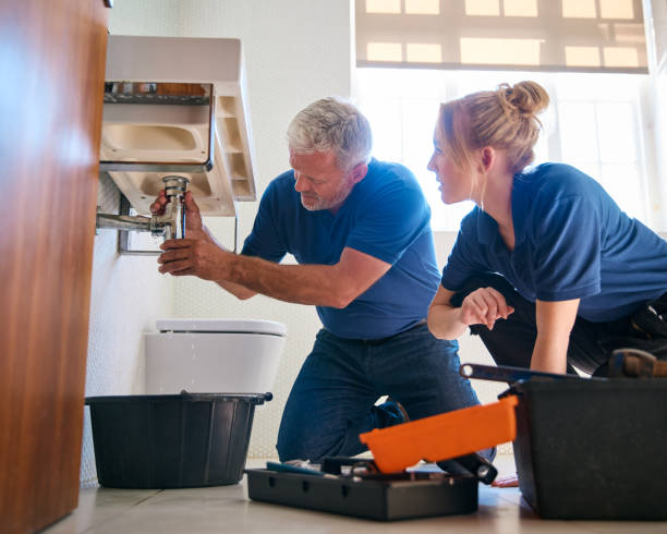 Best Residential Plumbing Services  in Germantown Hls, IL